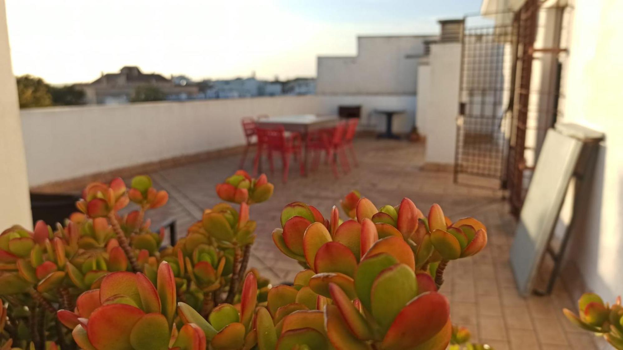 Atardeceres Sureños Jerez de la Frontera Exterior foto